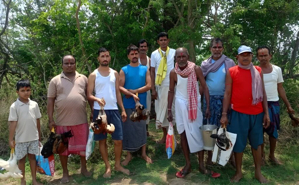 खरसावां के गोपालपुर में पारंपरिक रीति-रिवाजों के साथ की वार्षिक ‘बुना पूजा’, अच्छी फसल व सुख-समृद्धि की कामना,